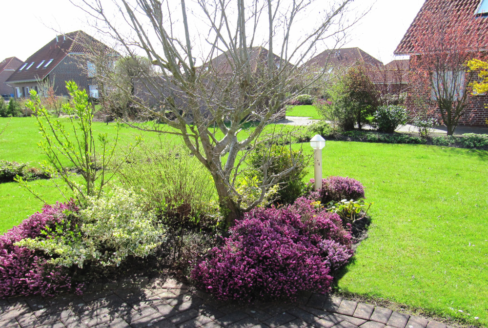 Ferienhaus Friesenlandhaus Norddeich Garten Gartenansicht