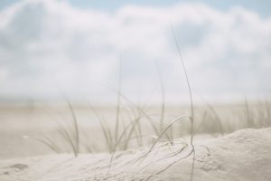 Ferienhaus Friesenlandhaus Norddeich Strand hell